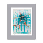 SwimBikeRun © Vincent Dogna