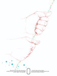 JEUX DE MAINS, mouvements sportifs - VOILE &copy;22 &copy; DOGNA